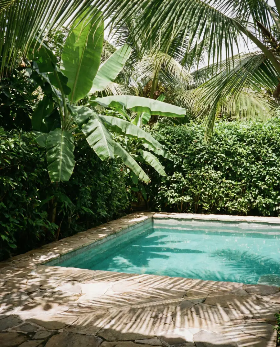 Tropical Layers for Florida Backyards 2