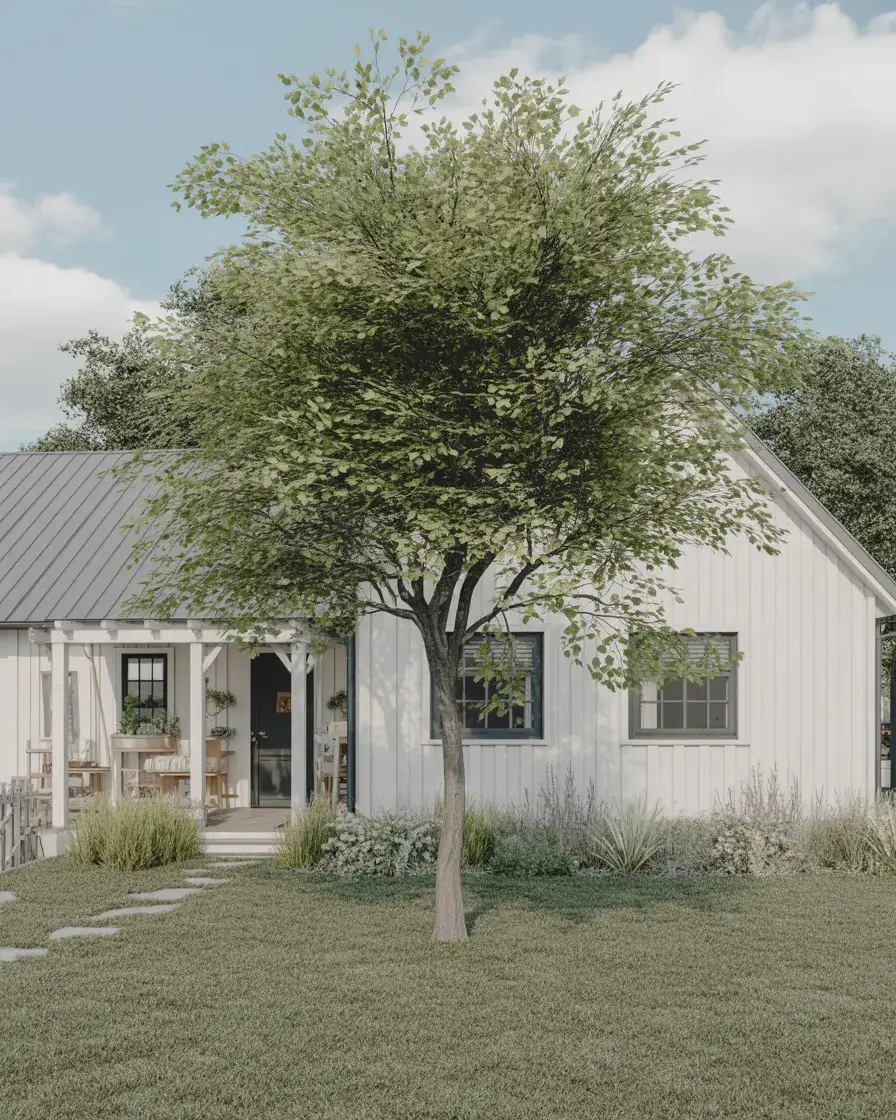 Farmhouse Style Front Yard with a Feature Tree 2