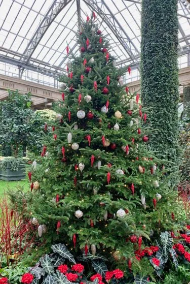 10 Great Christmas Tree Ideas From Longwood Gardens - Here By Design