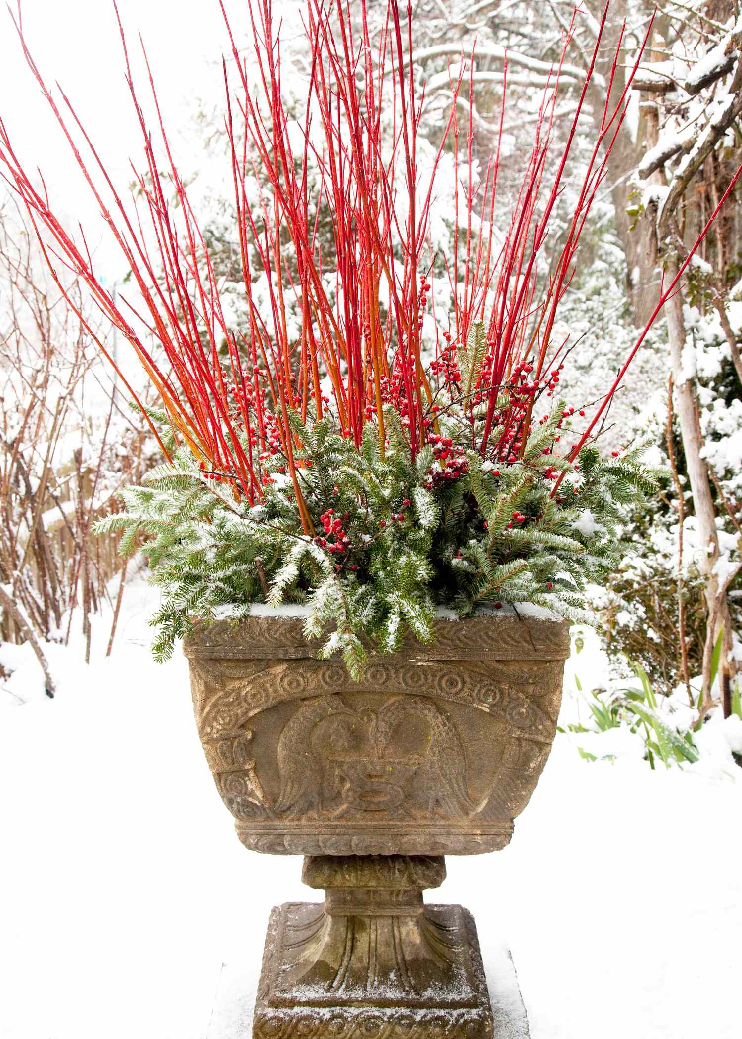 14 Cheerful Winter Container Gardens