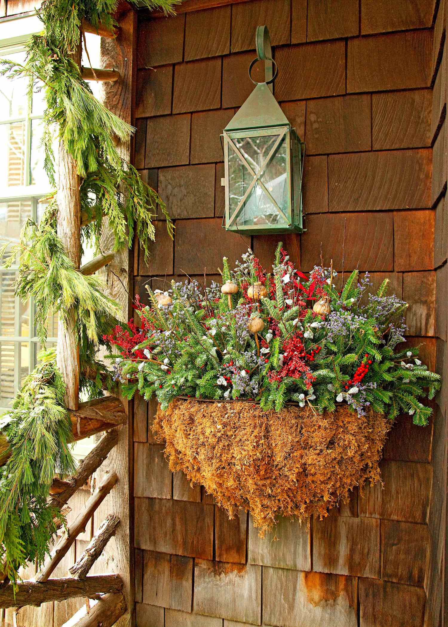 14 Cheerful Winter Container Gardens