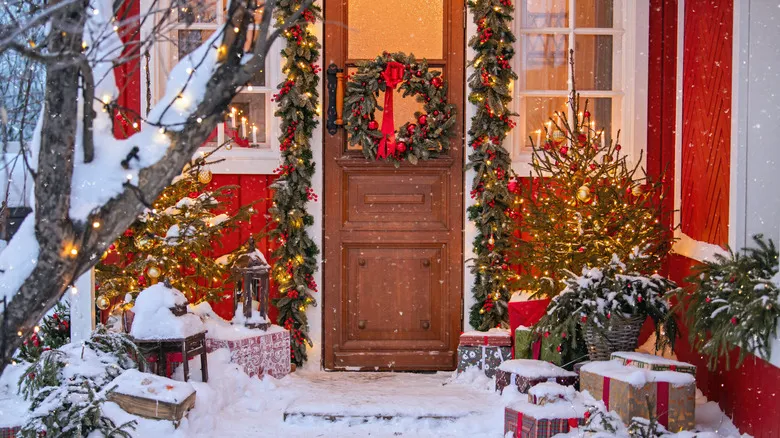 15 Hardy Evergreen Plants For Outdoor Holiday Decor That Will Last
