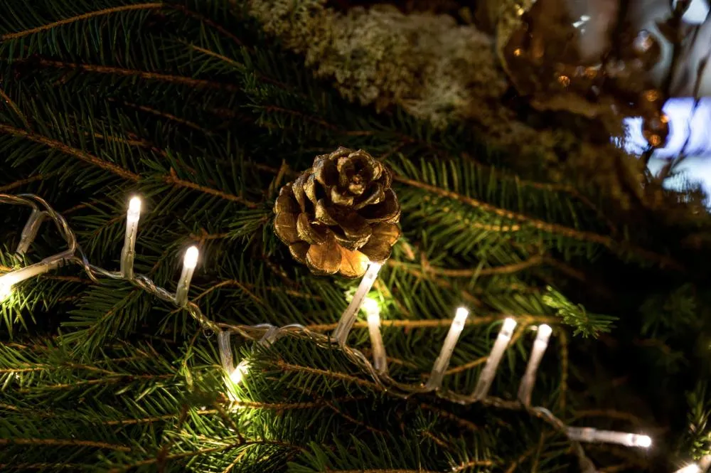 20 DIY Christmas Ornaments Made From Nature That Turn Pinecones and Twigs  Into Art