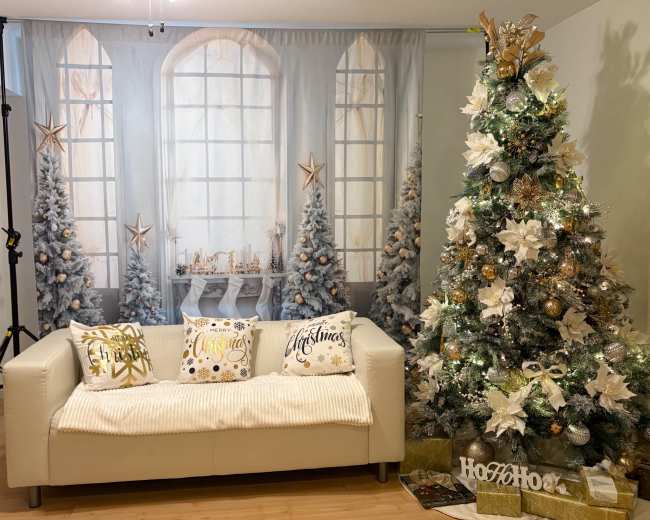 36 Best Christmas Photoshoot Locations for Rent in Coquitlam, BC | Peerspace