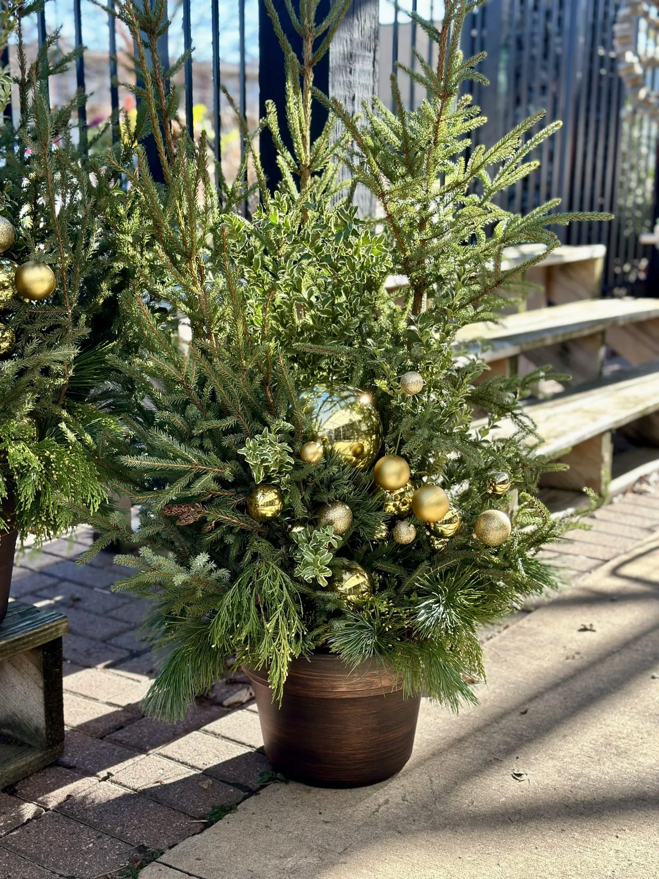 5 On-Trend Ideas for Your Holiday Decorations - Minnesota Grown
