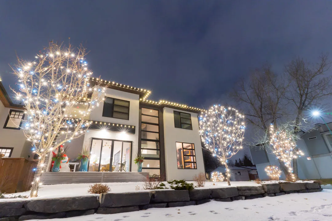 6 Creative Ways to Decorate Your Outdoor Trees This Christmas! | Big Star  Lights · Big Star Lights