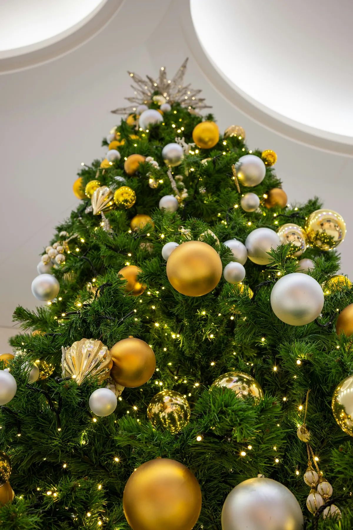 A christmas tree is decorated with gold and white ornaments - Free Photo on  Unsplash