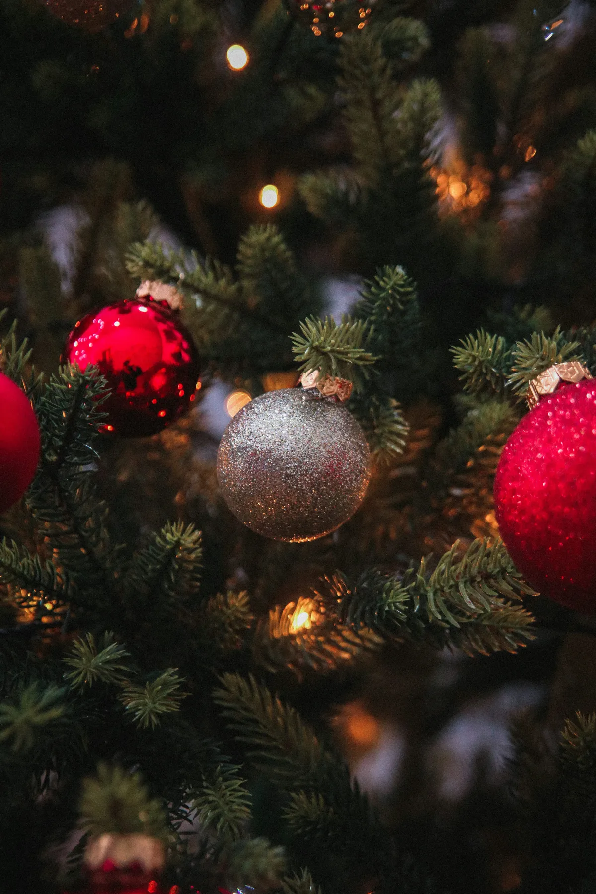 A close up of a christmas tree with ornaments - Free Photo on Unsplash