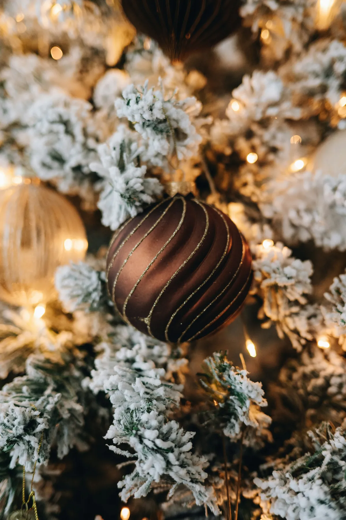 A close up of a christmas tree with ornaments - Free Photo on Unsplash