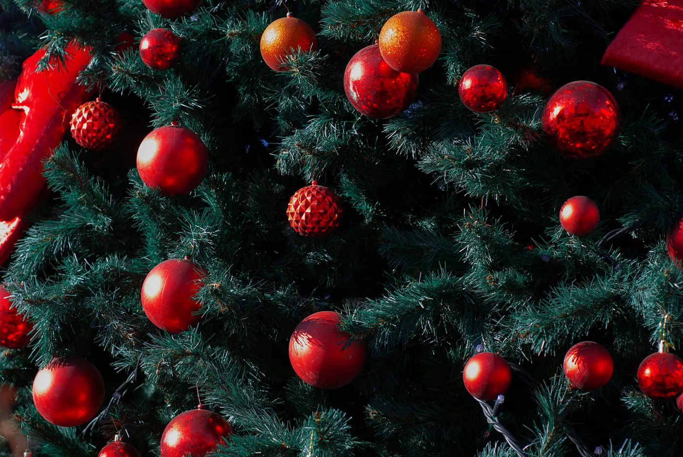 A close up of a christmas tree with red ornaments - Free Photo on Unsplash