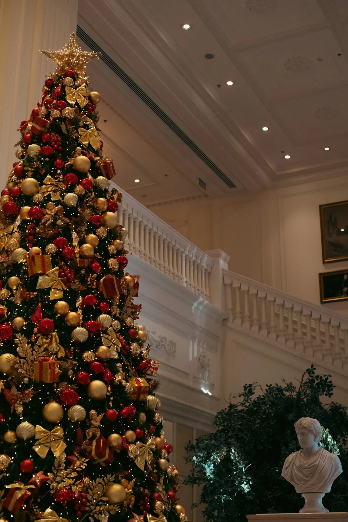 A decorated christmas tree in a grand interior setting - Free Photo on Unsplash