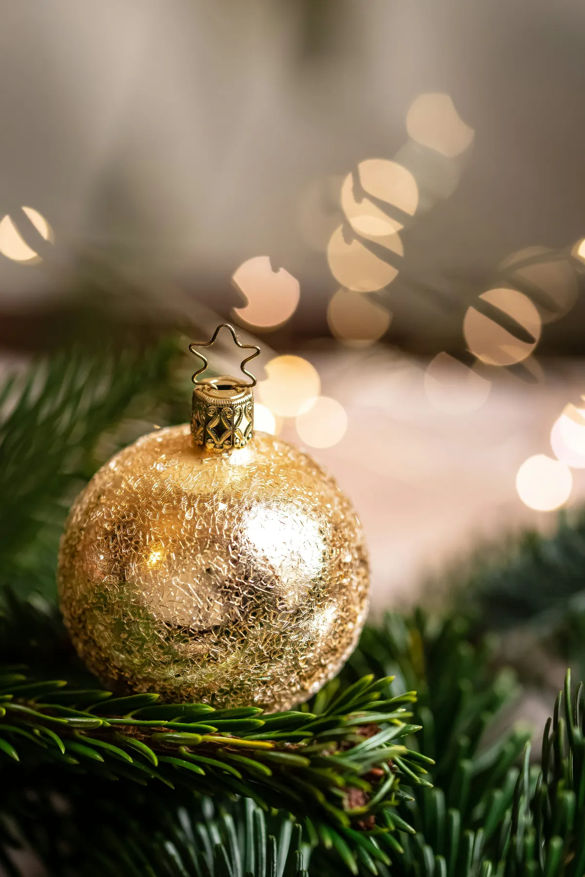 A gold ornament hanging from a christmas tree - Free Photo on Unsplash