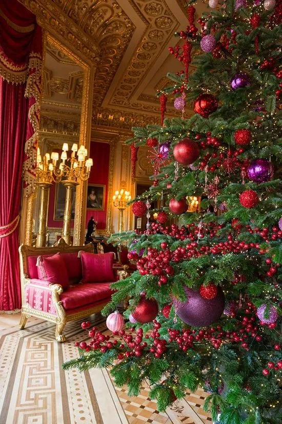 Aesthetic Oiseau: Berry Christmas