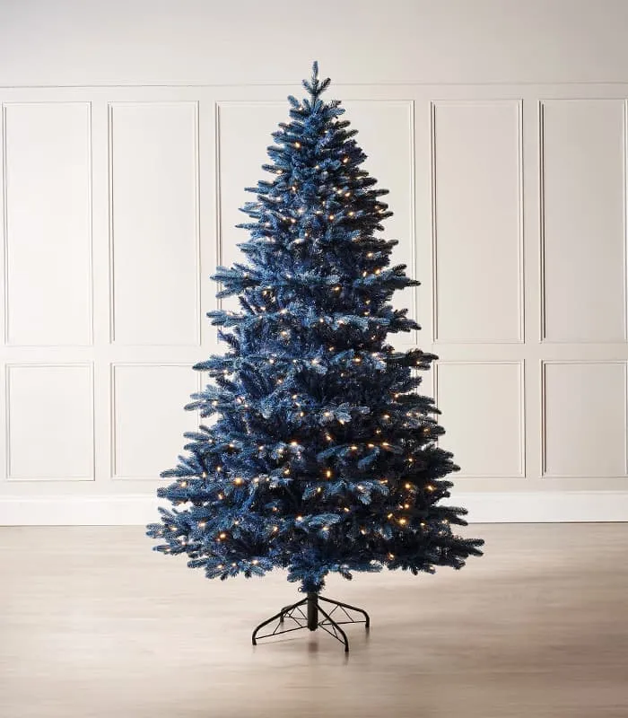 Alpine Balsam Fir Trees - My WordPress