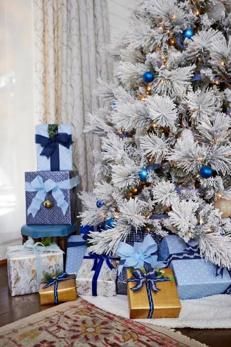 Best Living Christmas Tree Types | HGTV