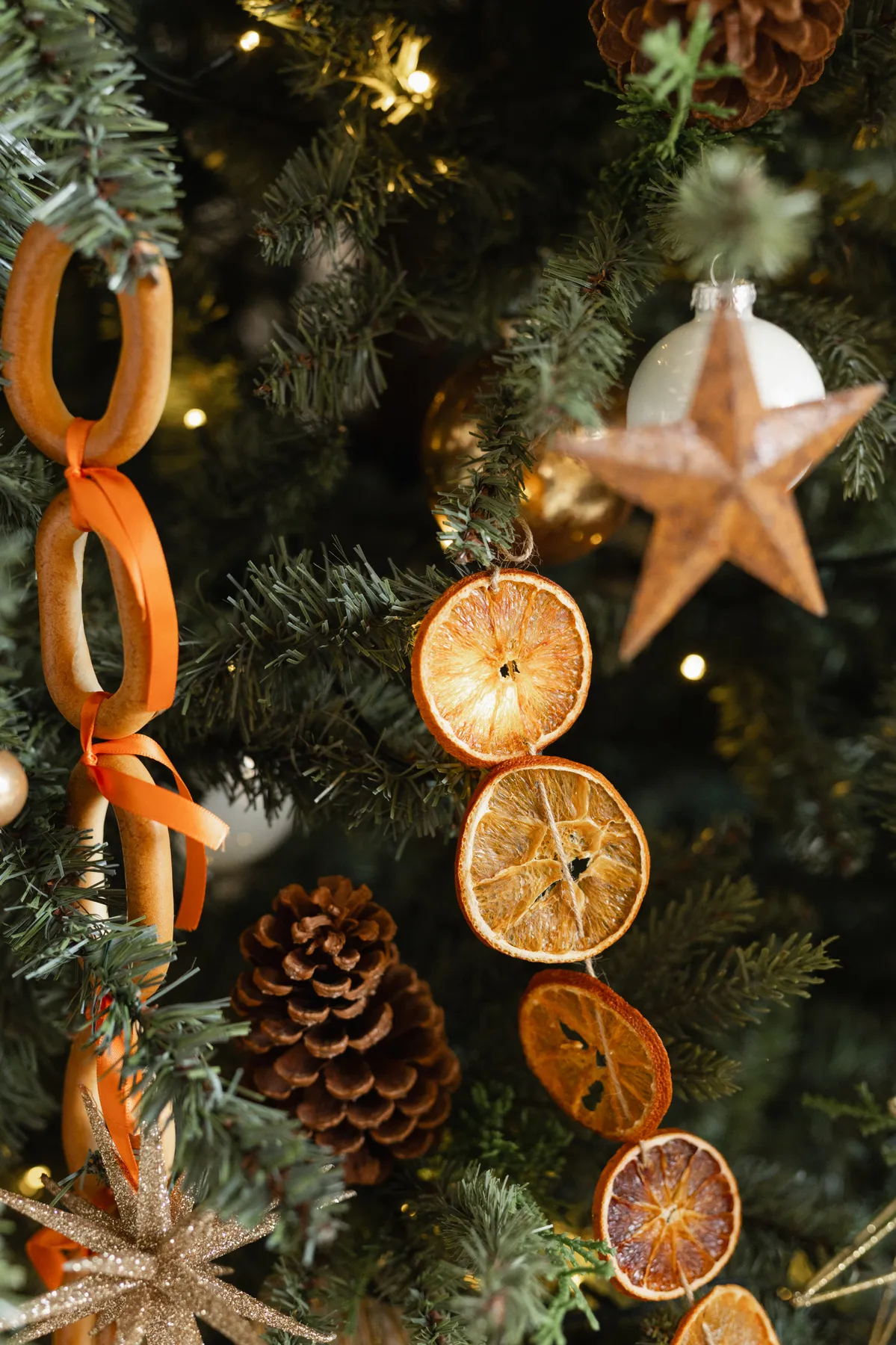 Burnt Orange – Lounge – Holiday Season 2026 - Mint Room Studios