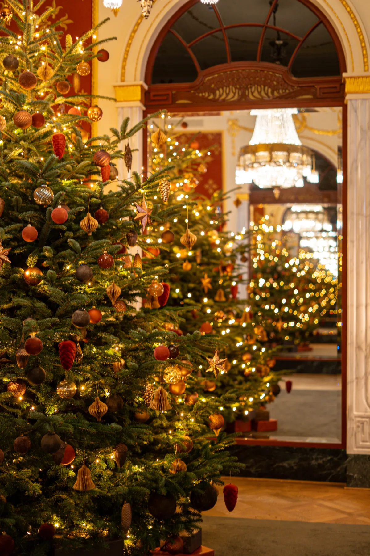 Celebrate your Christmas party in the elegant Salon de Noël
