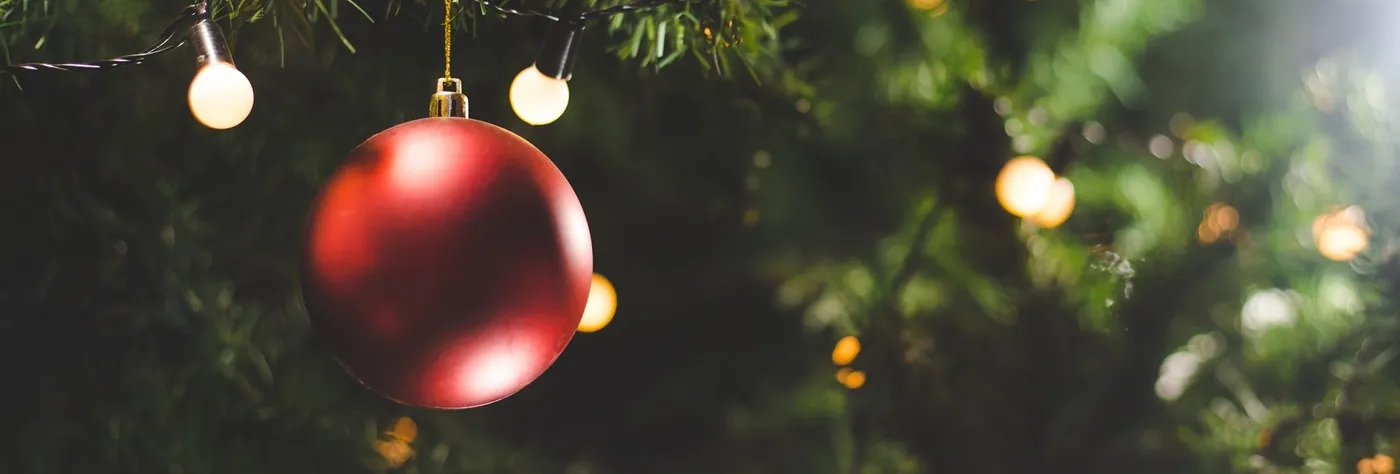 Christmas Break | The Bedford Hotel Tavistock