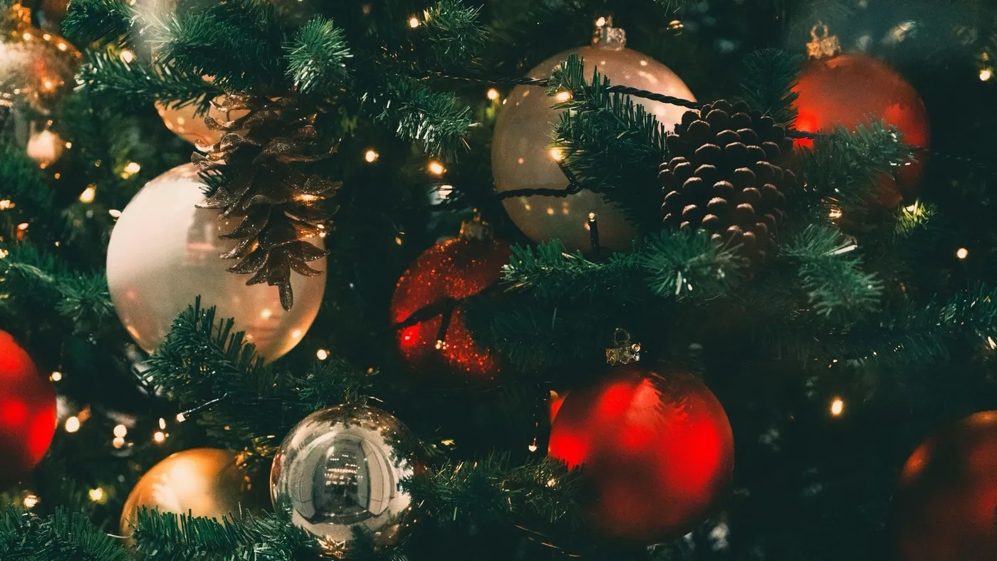 Christmas & New Year at Mason's | Book Now