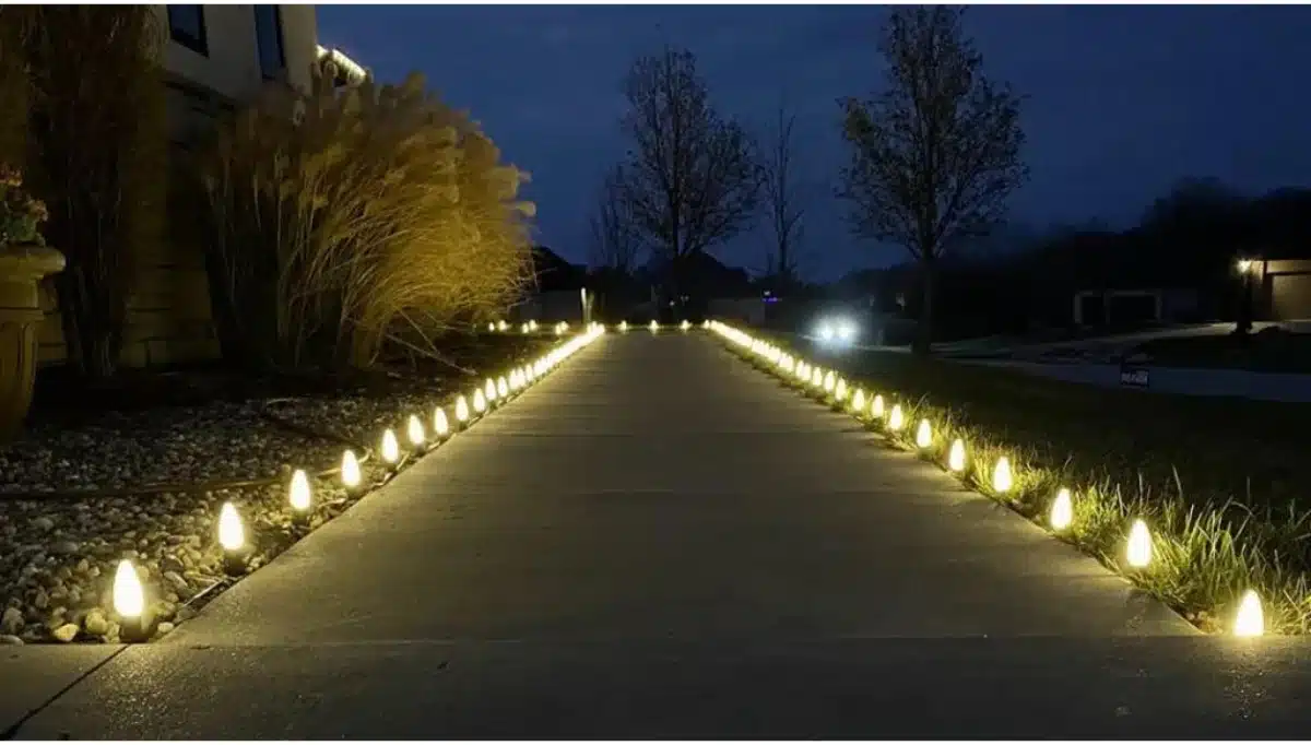 Christmas Pathway Lights - All Lit Up