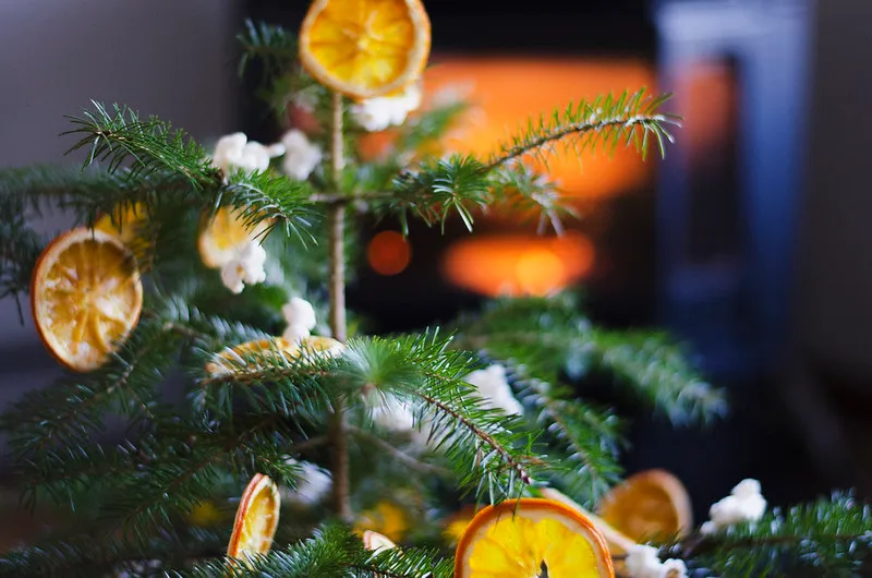 Christmas Tree Decorated With Dried Oranges, Popcorn, and a Cinnamon Star |  Juliette Laura