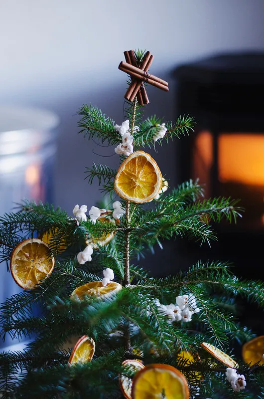 Christmas Tree Decorated With Dried Oranges, Popcorn, and a Cinnamon Star |  Juliette Laura