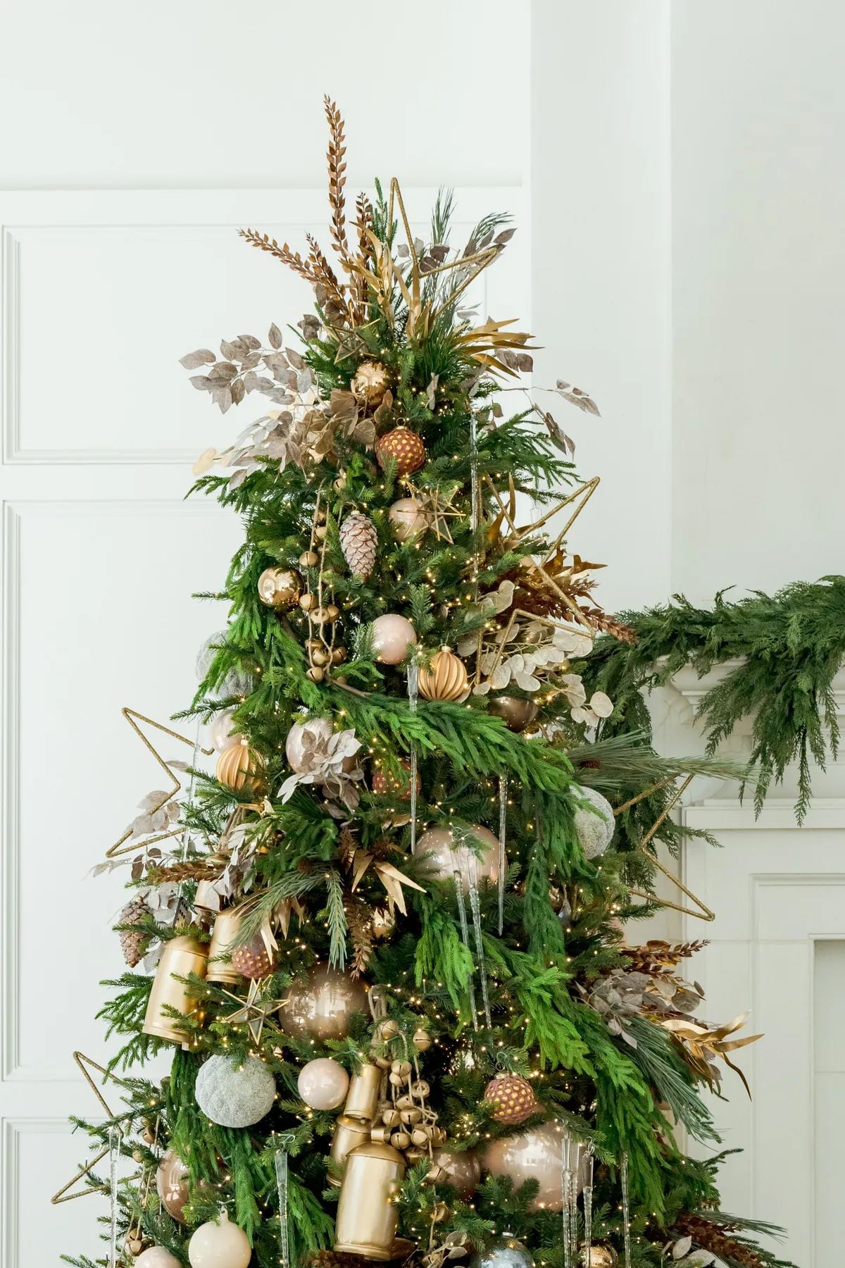 Christmas Trees – Modern Display