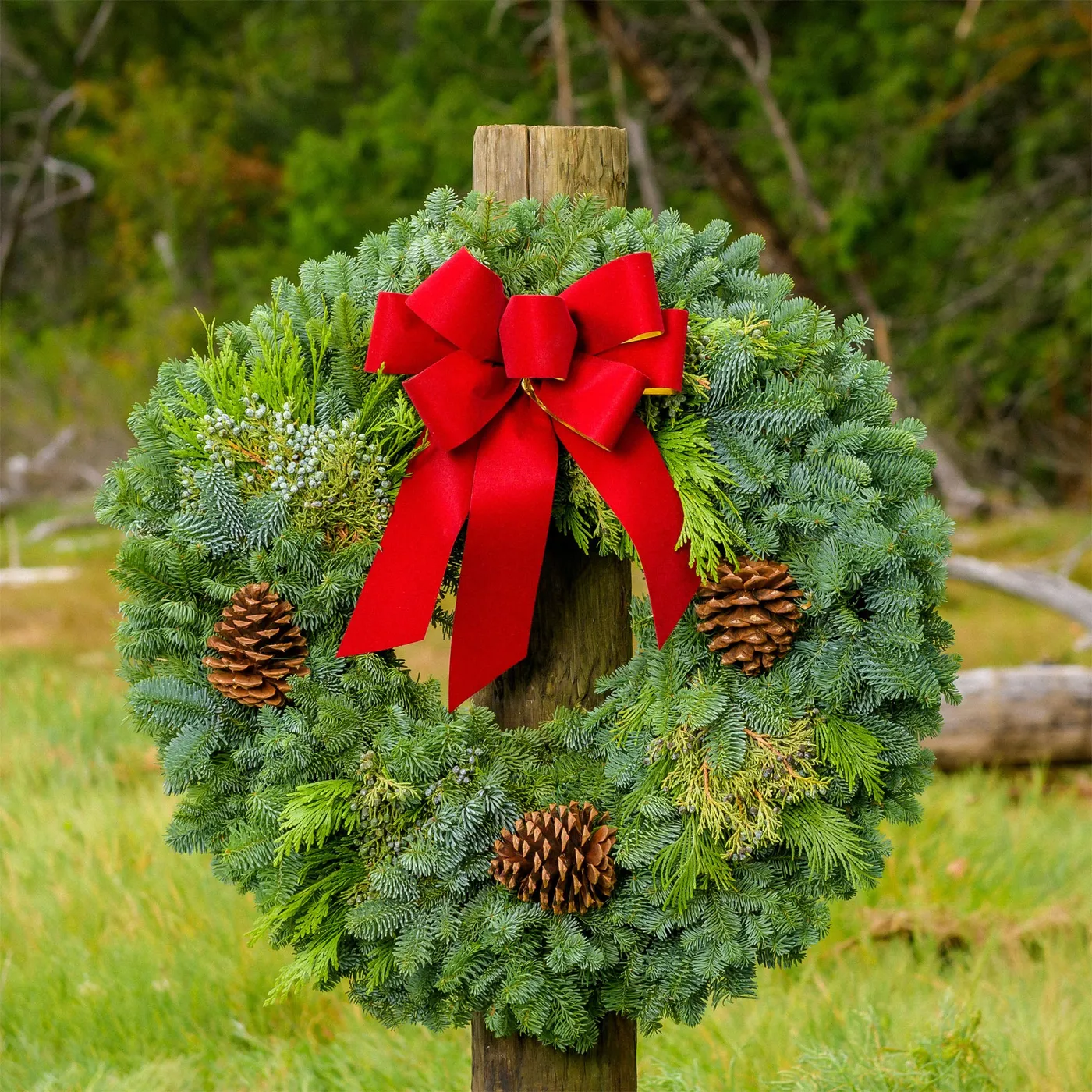 Christmas Wreaths for the Holidays - Xmas Wreaths for Front Door – Lynch Creek Farm