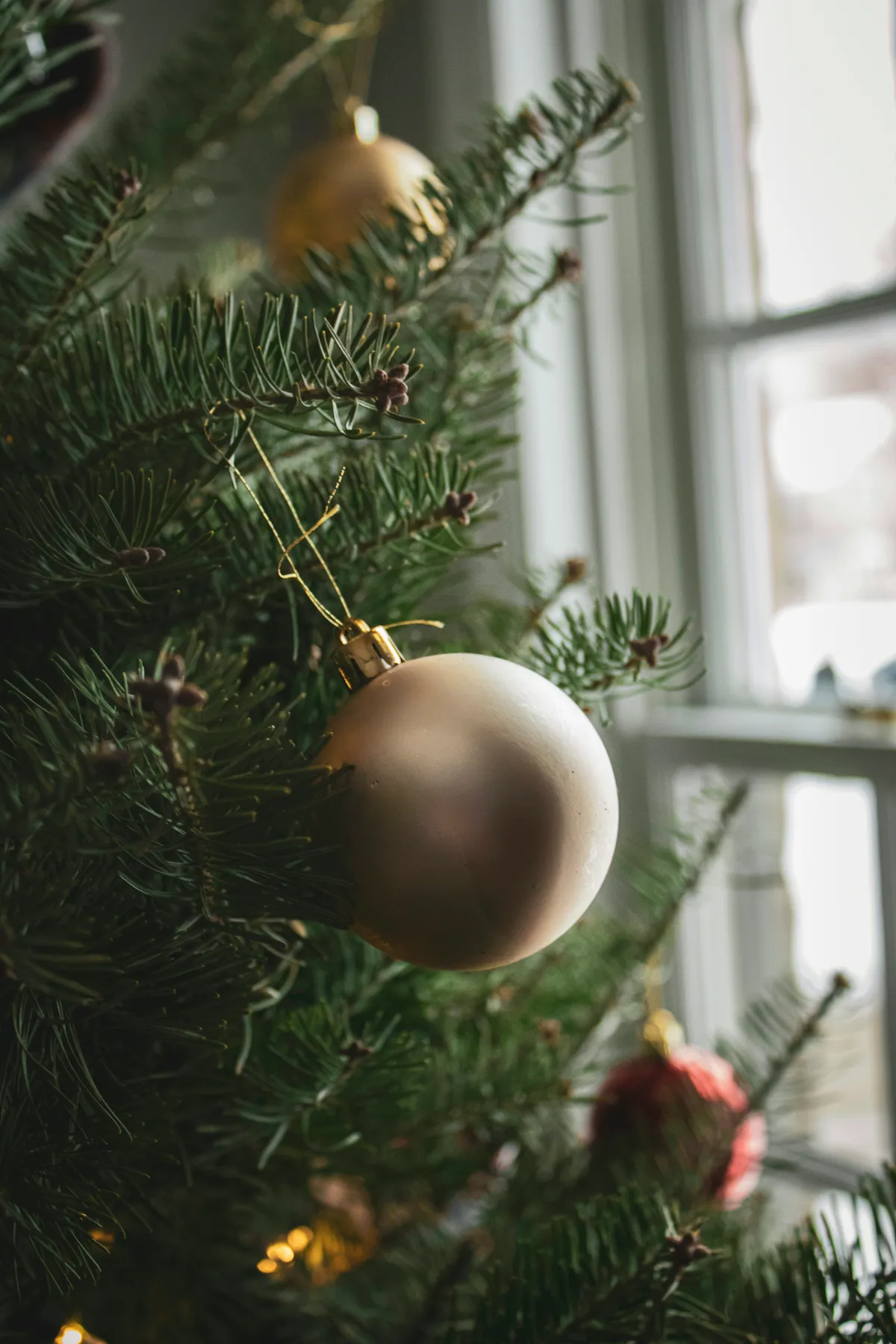 Close-up of a christmas tree with ornaments - Free Photo on Unsplash