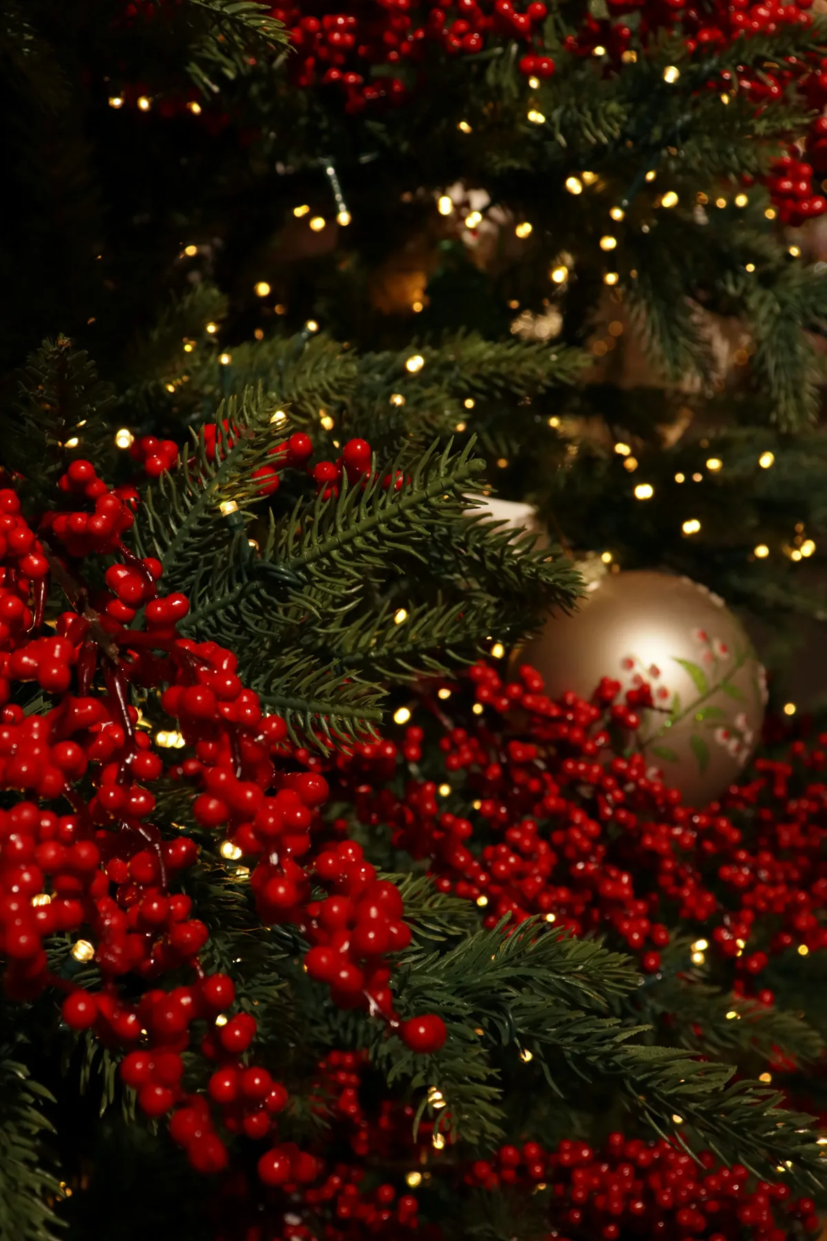 Close-up of a christmas tree with red berries and lights - Free Photo on  Unsplash