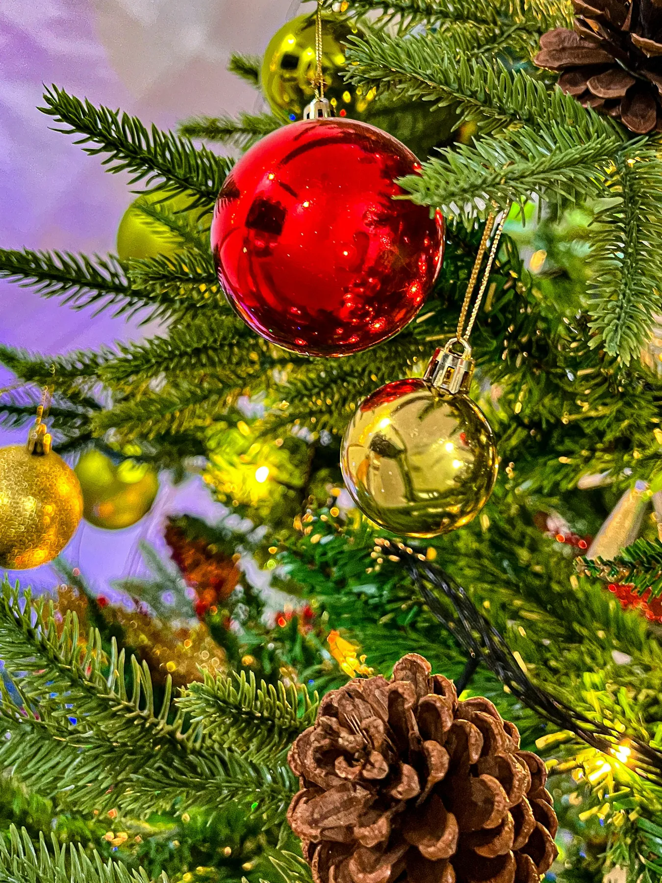 Close-up of a decorated christmas tree with ornaments - Free Photo on  Unsplash