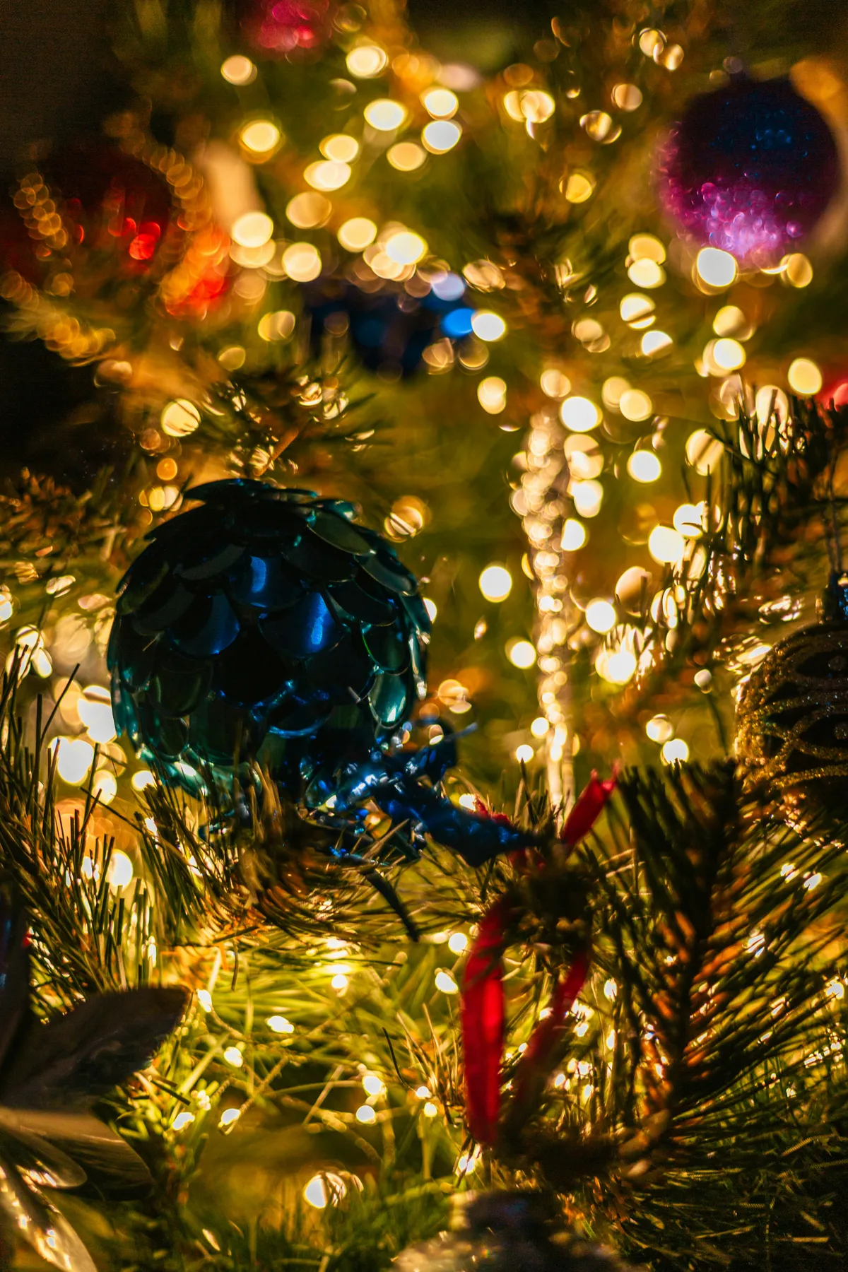 Close-up of a decorated christmas tree with lights