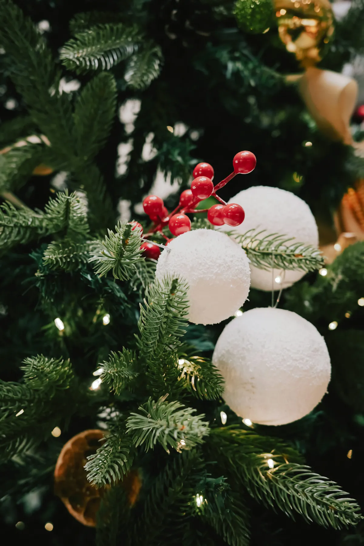 Close-up of a decorated christmas tree with ornaments - Free Photo on  Unsplash