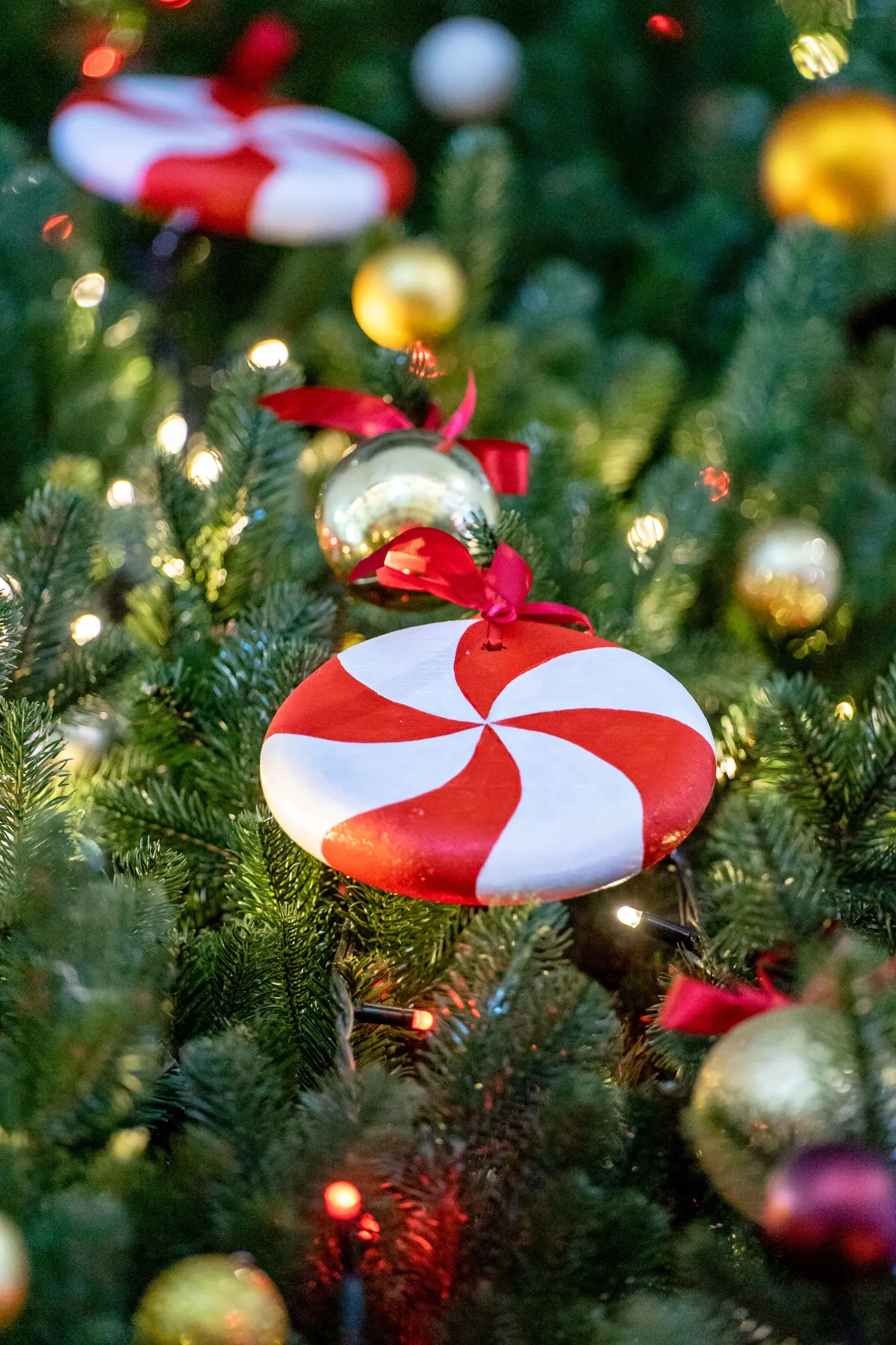 Close-up of Christmas tree with candy ornaments and decorative lights.
