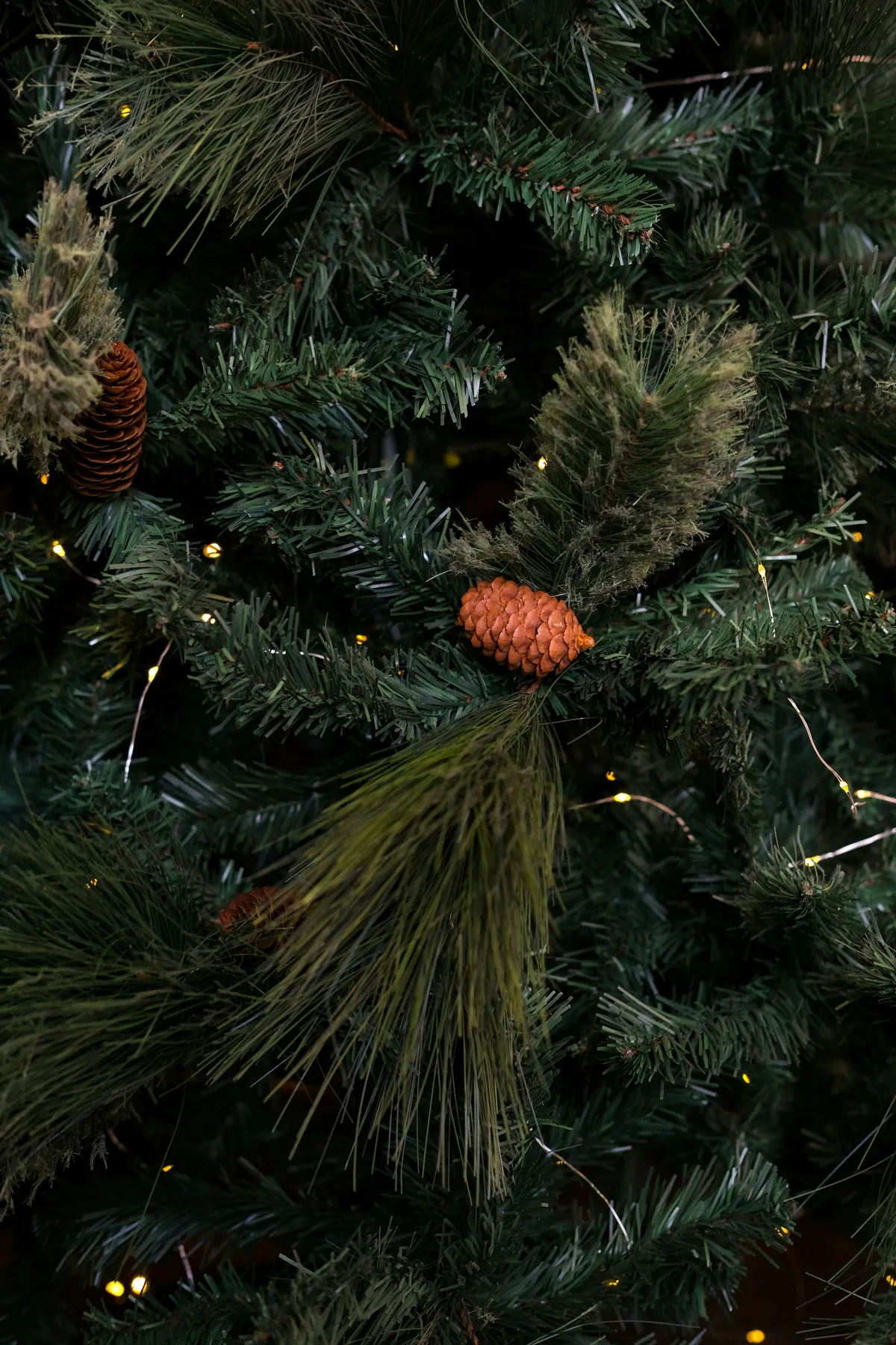 Close-up of pine branches with pinecones and fairy lights