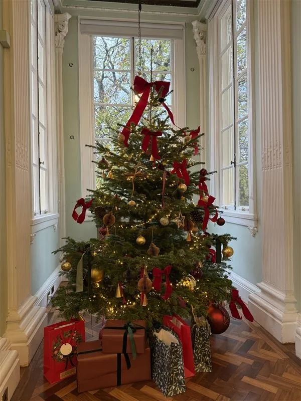 Creating Unforgettable Christmas Celebrations: Festive Inspiration at  {10-11} Carlton House Terrace