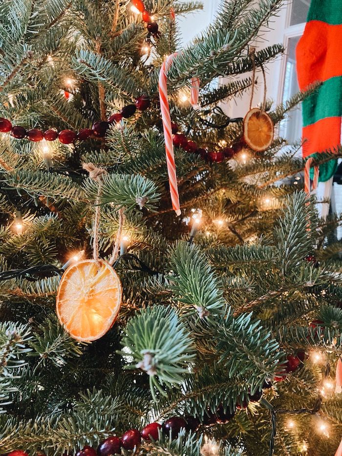 Did You Put Your Holiday Decorations Up Early This Year? | Happily K