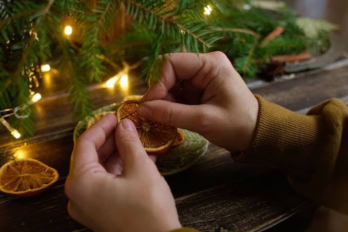 Embracing Green for the Holidays: A Guide to Ecological Festivities - Tree  Canada