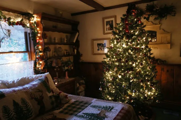 Family Decorates for the Holidays with 31 Trees