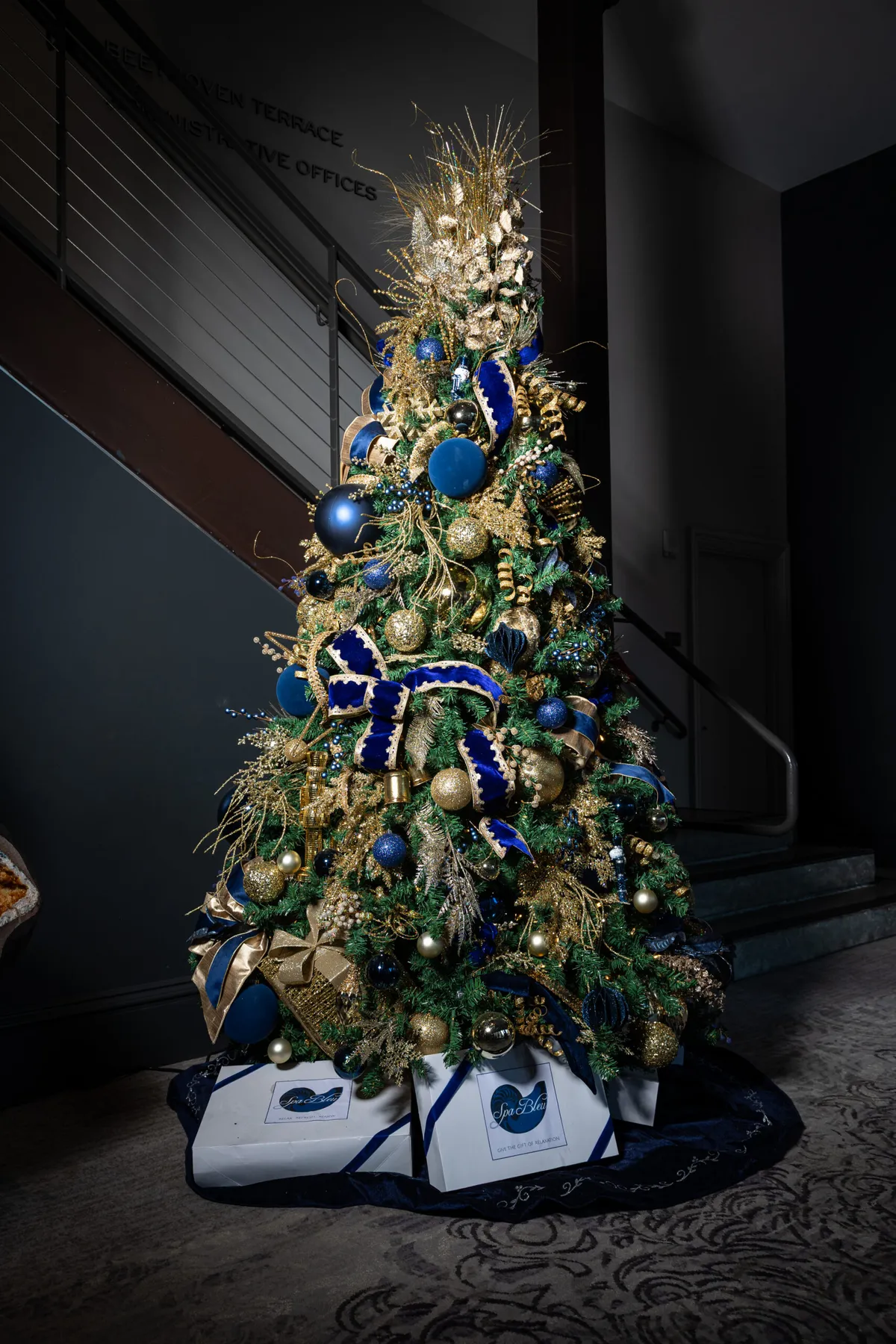 Festival of Trees - Plant Riverside District