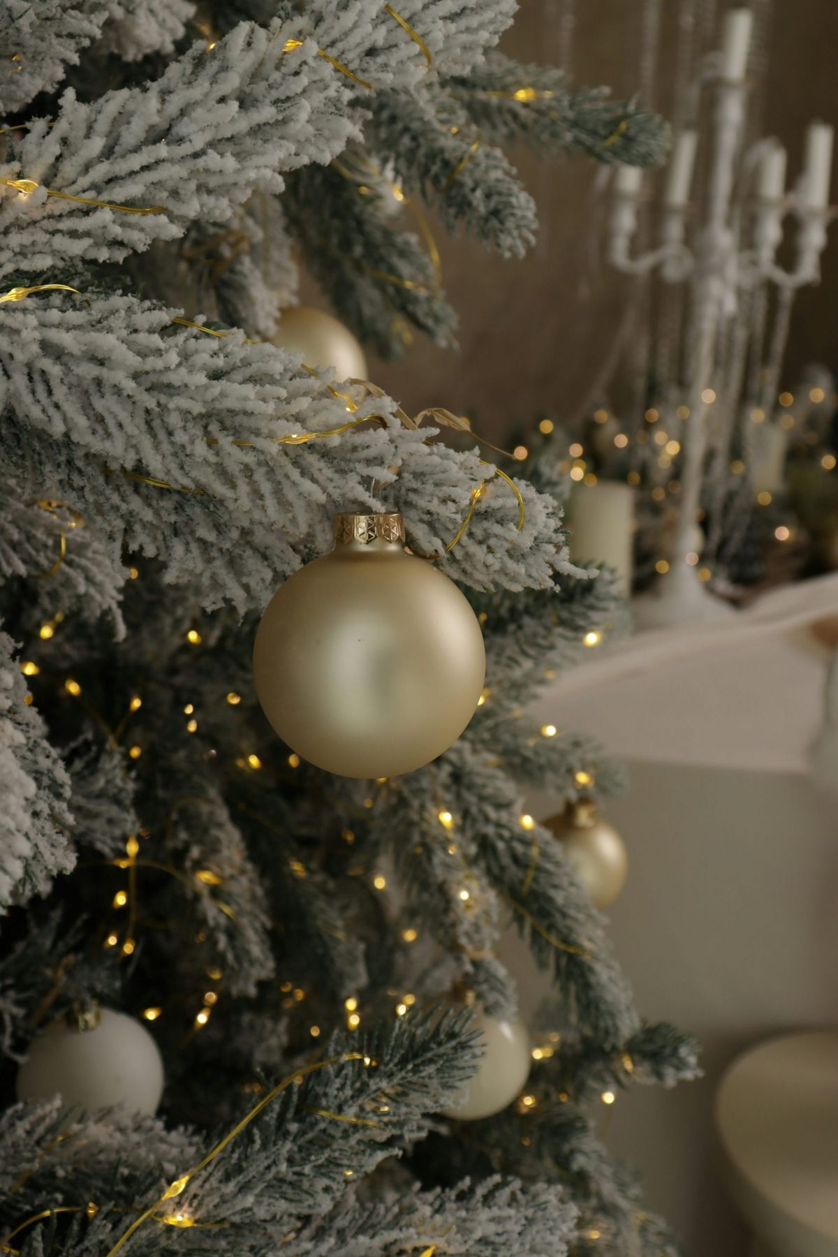 Frosted christmas tree with golden ornaments and lights - Free Photo on  Unsplash