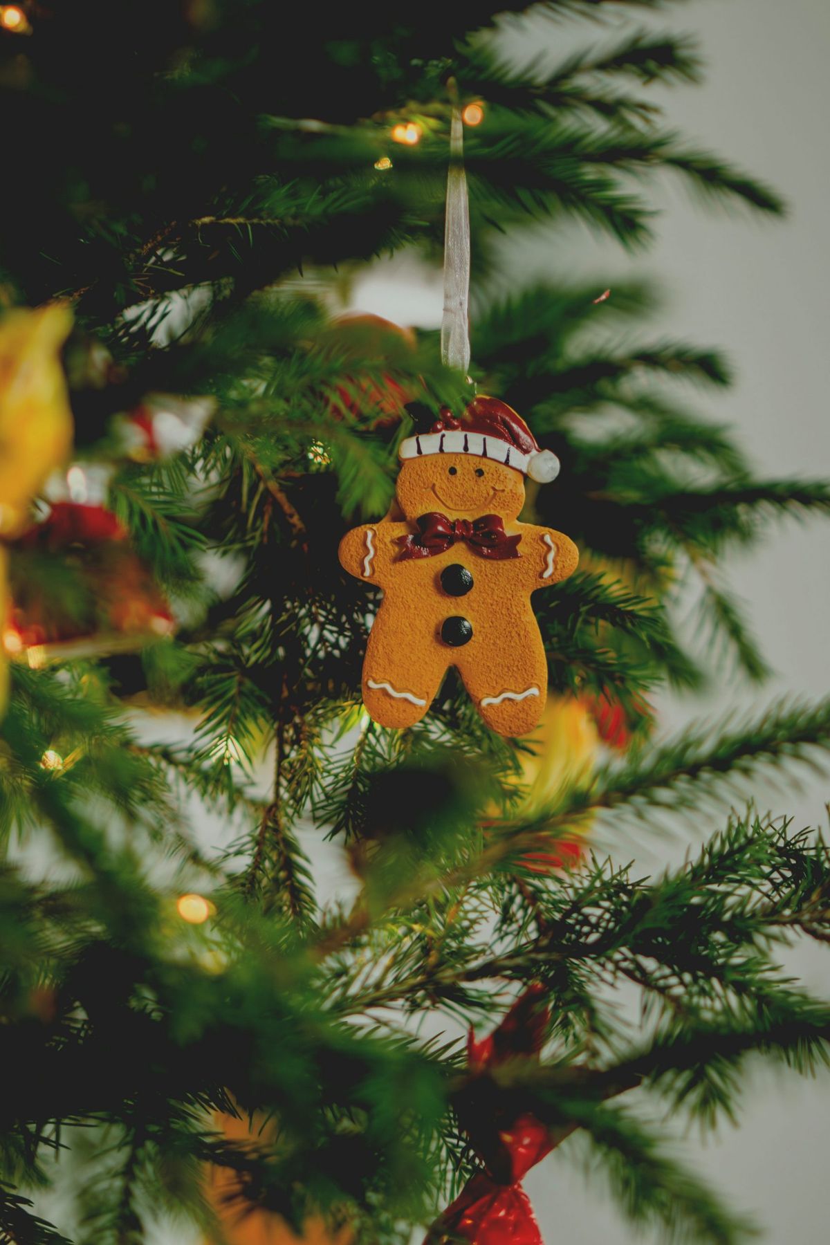Gingerbread man ornament on a christmas tree. photo – Free Christmas Image  on Unsplash