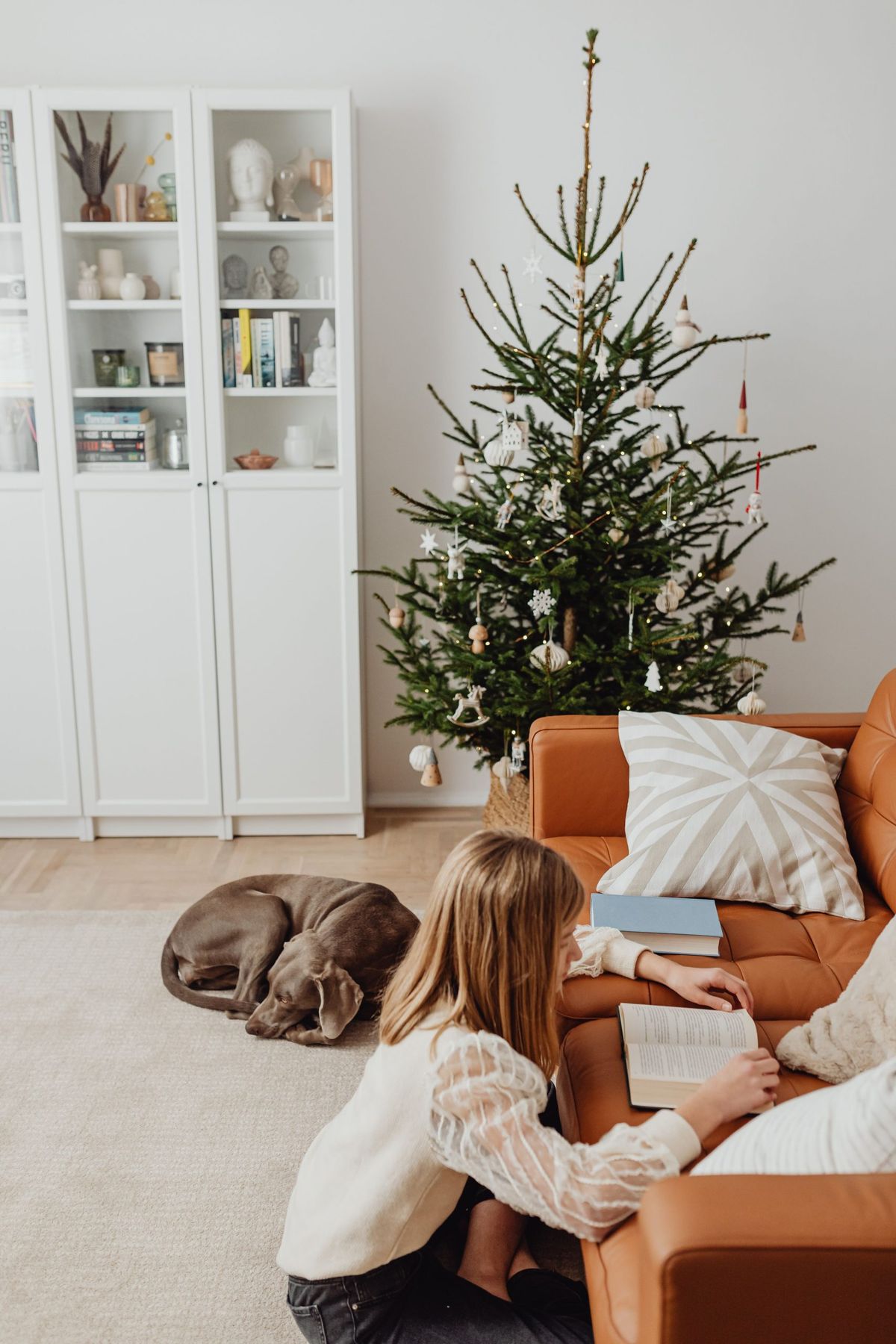 Girl reads on a sofa next to a decorated Christmas tree while a dog rests on the floor.