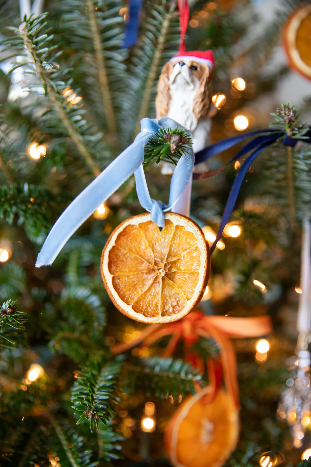 How To Dehydrate Oranges For Inexpensive Christmas Decor - KB Concierge  Services, LLC.
