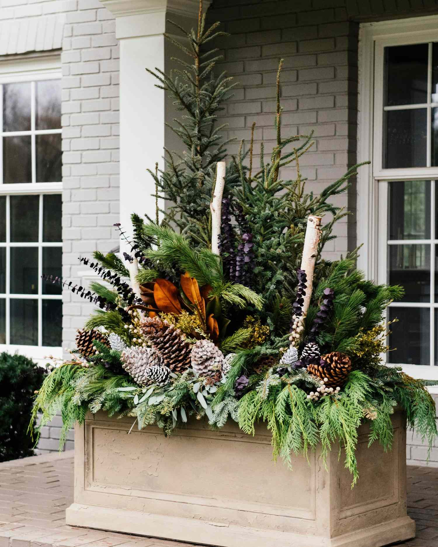 How to Work Wonders with Winter Container Gardens