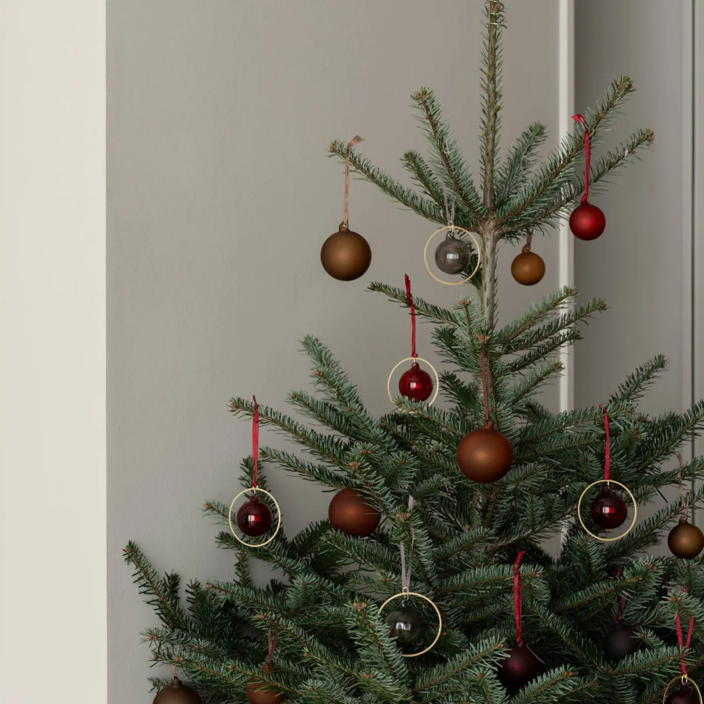 JUHLA Matte Glass Ornament - Set of 6 - Assorted Colors (Set of 6) Color: Midnight Plum, Port (burgundy), Rustic Brown
