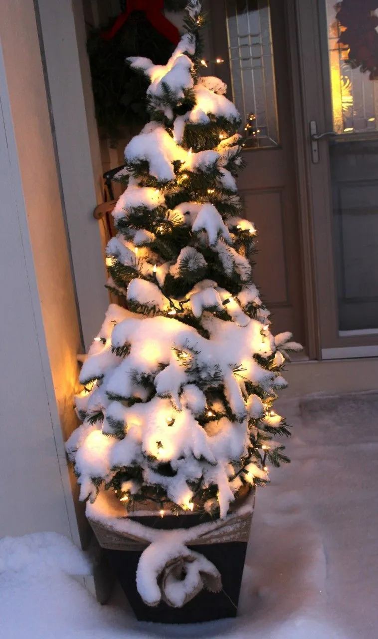 My front door - what a difference a day makes. - Momcrieff