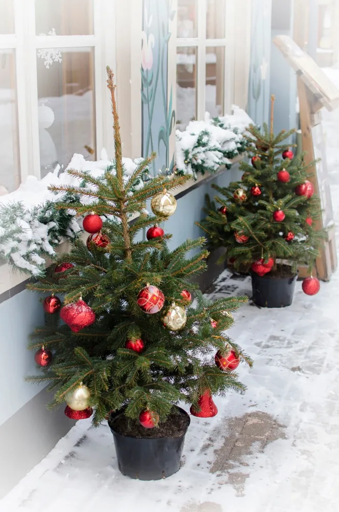 Outdoor Christmas Decorations - Pond and Garden Ideas