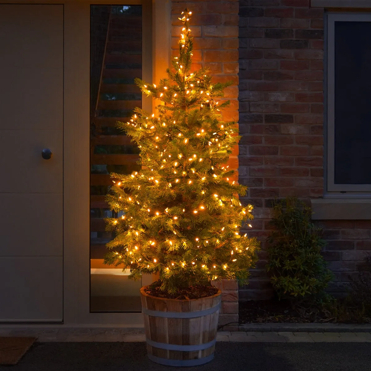 Outdoor Christmas Tree Lights | LED Outdoor Lights | Festive Lights