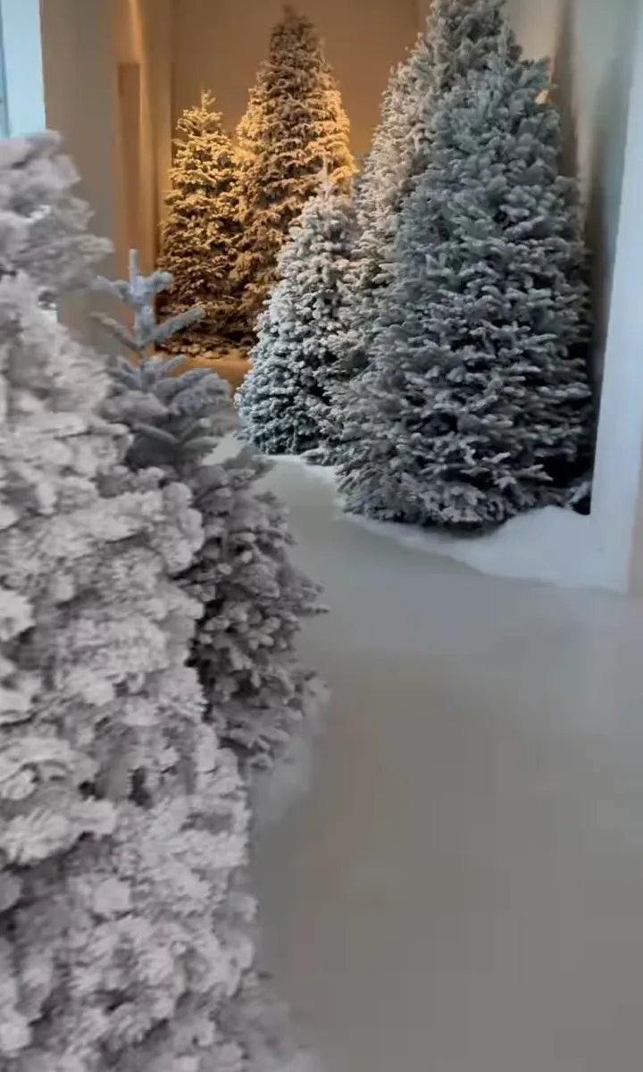 Ranking the Best to Worst Kardashian Christmas Trees